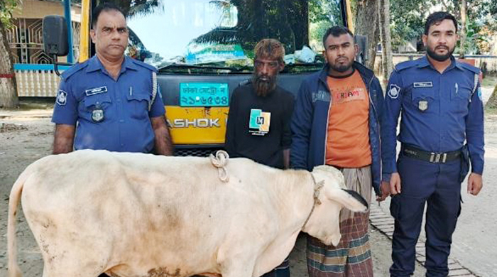 গোয়ালন্দে চোরাই গরু ও পিকআপসহ ২জন গ্রেপ্তার